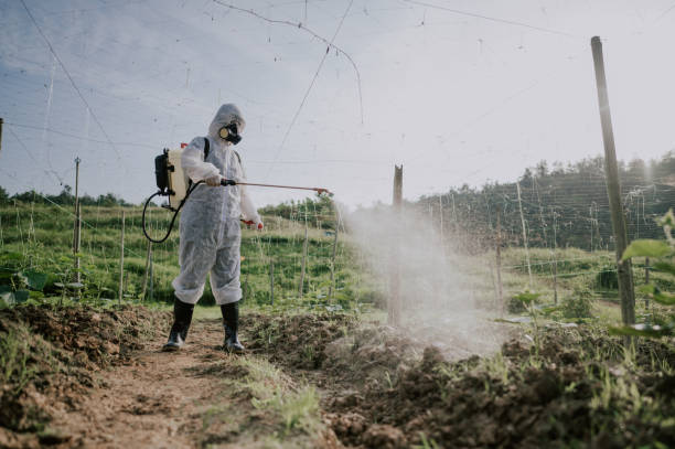 Best Ant Control Services  in Elm Grove, WI