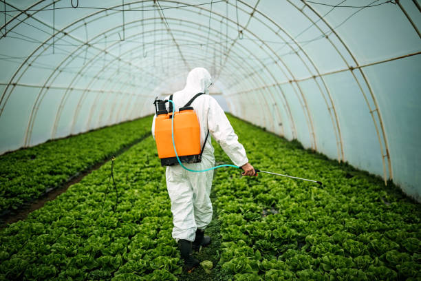 Best Residential Pest Control  in Elm Grove, WI