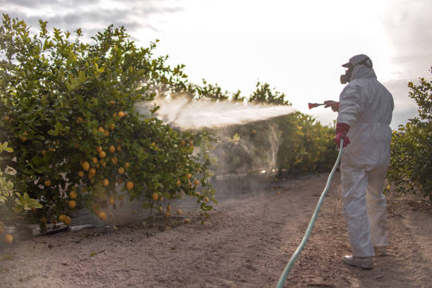 Best Commercial Pest Control Services  in Elm Grove, WI